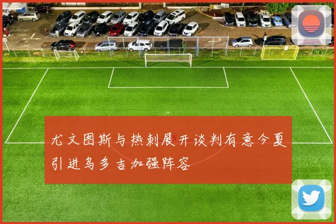 尤文图斯与热刺展开谈判有意今夏引进乌多吉加强阵容