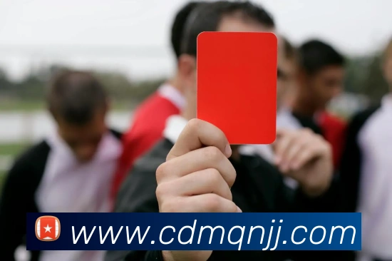 星空体育最新官网地址服务体系